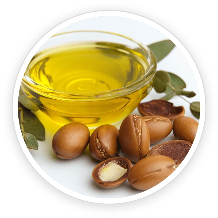 FoliPrime-ingredient1