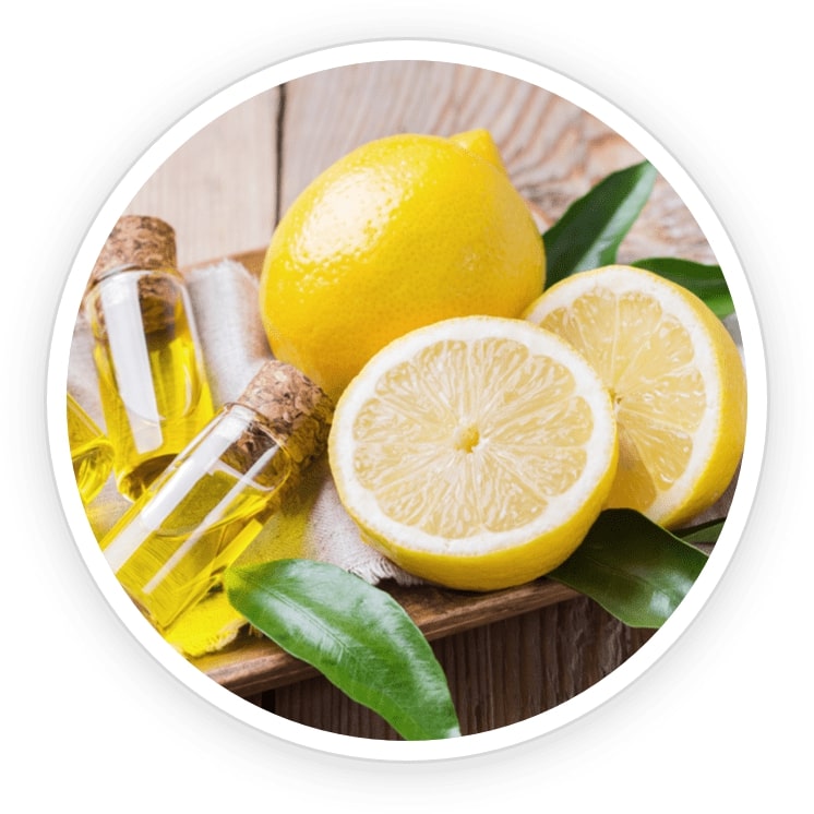 FoliPrime-ingredient11