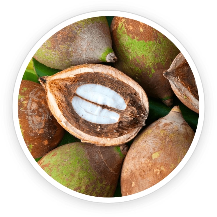FoliPrime-ingredient2