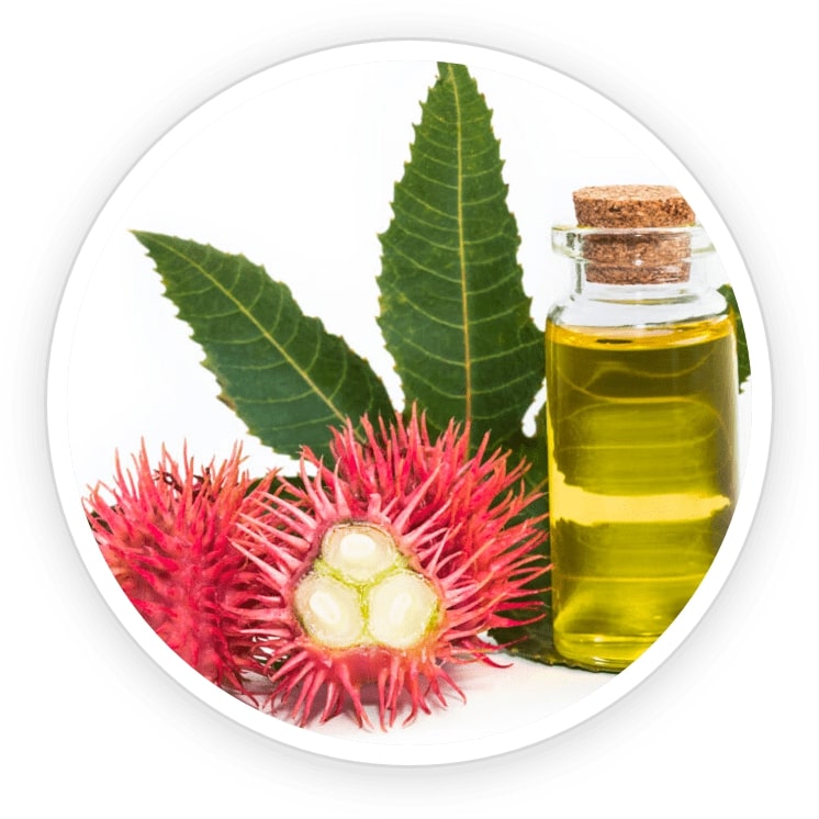FoliPrime-ingredient3