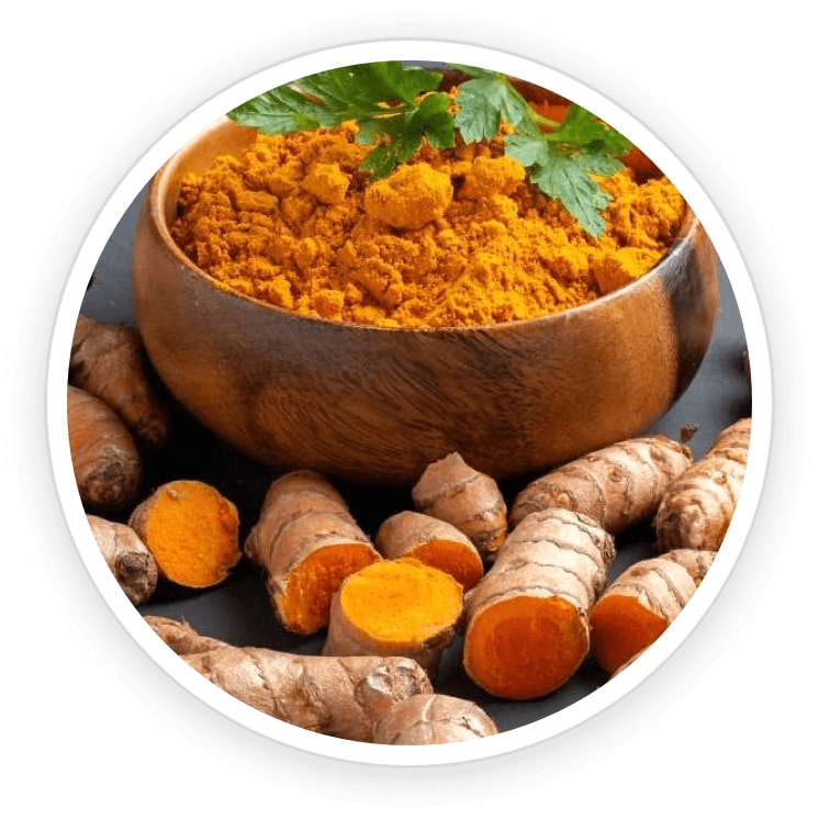 FoliPrime-ingredient4