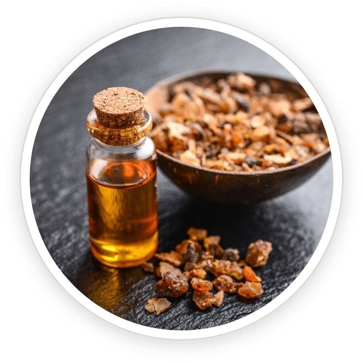 FoliPrime-ingredient9